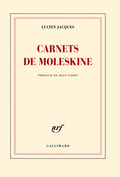 Carnets de moleskine (9782070144440-front-cover)