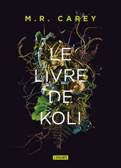 Le livre de Koli, TRILOGIE REMPART 1 (9791036000867-front-cover)