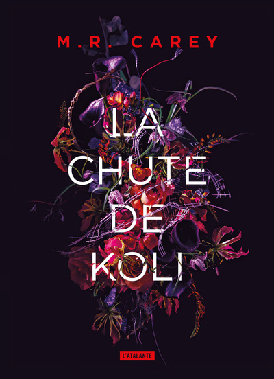La chute de Koli (9791036001246-front-cover)