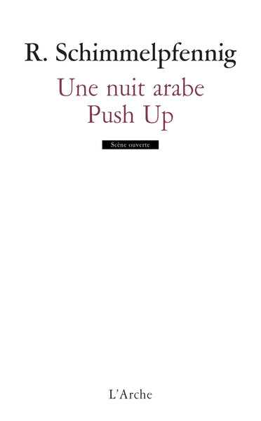 Une nuit arabe / Push Up (9782851815231-front-cover)