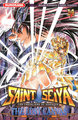 Saint Seiya - The Lost Canvas - La légende d'Hades - tome 14 (9782351425596-front-cover)