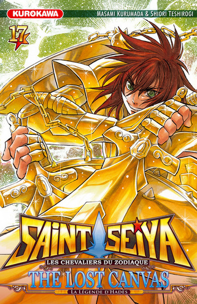 Saint Seiya - The Lost Canvas - La légende d'Hades - tome 17 (9782351425671-front-cover)
