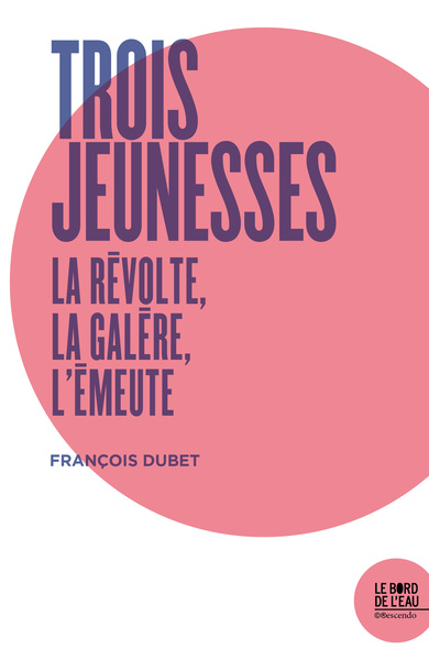 Trois jeunesses, La révolte, la galère, l'émeute (9782356875839-front-cover)