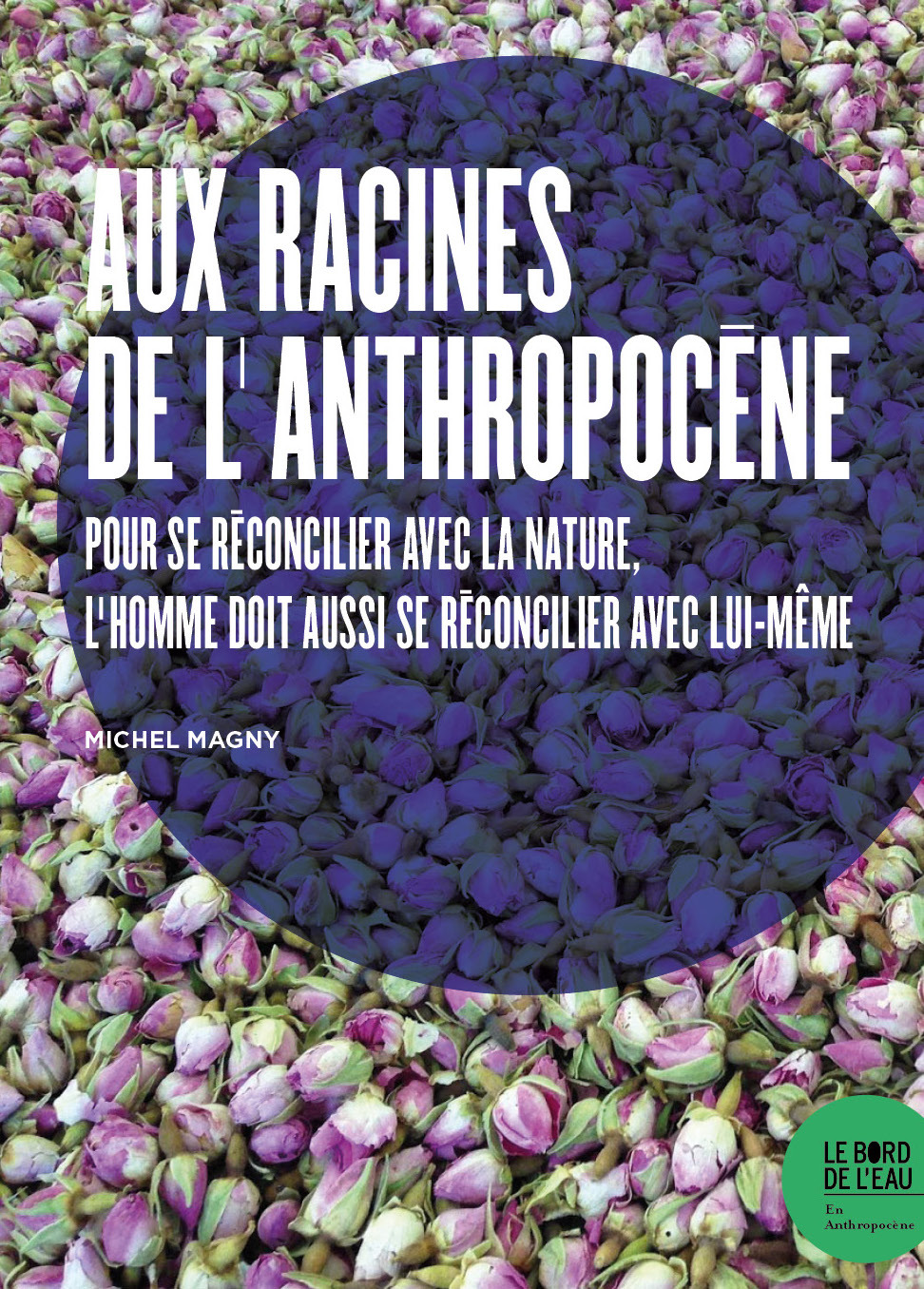 Aux racines de l'Anthropocène, Une crise écologique reflet d'une crise de l'homme (9782356876300-front-cover)