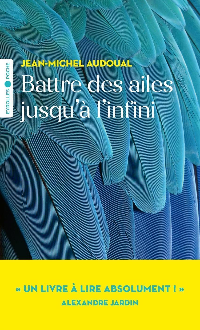 Battre des ailes jusqu'à l'infini (9782416007743-front-cover)