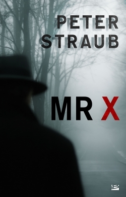 Mr X (9782352949381-front-cover)