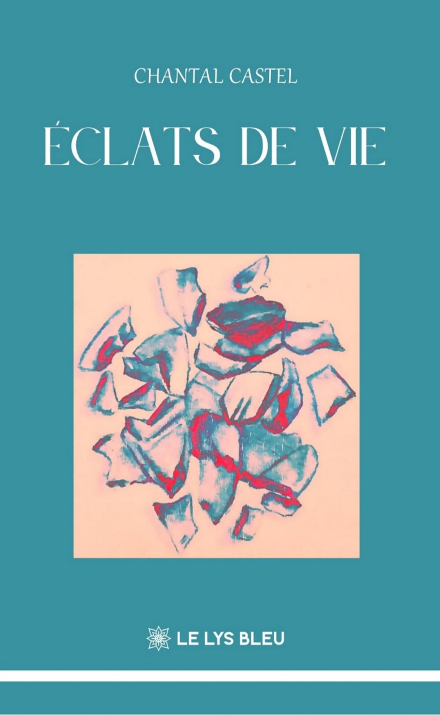 Éclats de vie, Journal poétique (9791043704833-front-cover)