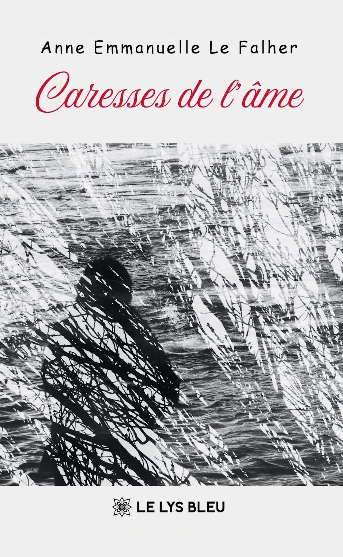 Caresses de l'âme (9791043701801-front-cover)