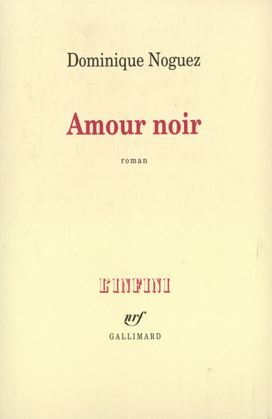 Amour noir (9782070750238-front-cover)