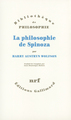 La Philosophie de Spinoza, Pour démêler l'implicite d'une argumentation (9782070732647-front-cover)