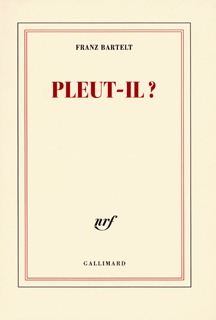 Pleut-il ? (9782070785780-front-cover)