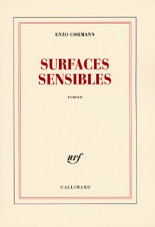 Surfaces sensibles (9782070785599-front-cover)