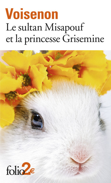Le sultan Misapouf et la princesse Grisemine (9782070792825-front-cover)