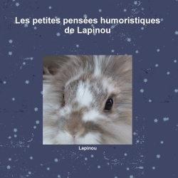 Les petites pensées humoristiques de Lapinou (9781291725230-front-cover)