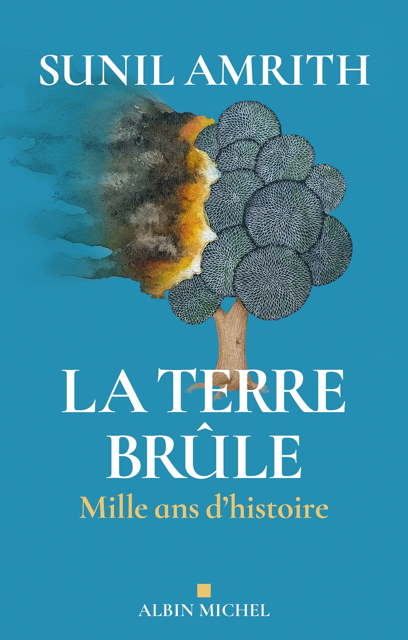 La Terre brûle, Mille ans d'histoire (9782226473035-front-cover)