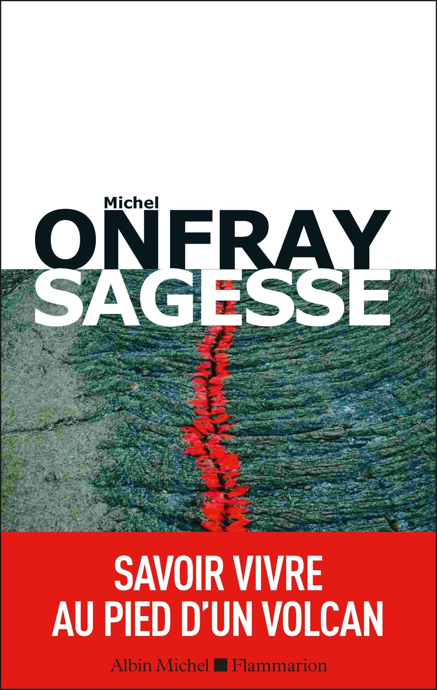 Sagesse, Savoir vivre au pied d'un volcan (9782226440624-front-cover)