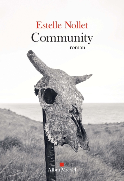 Community (9782226402158-front-cover)