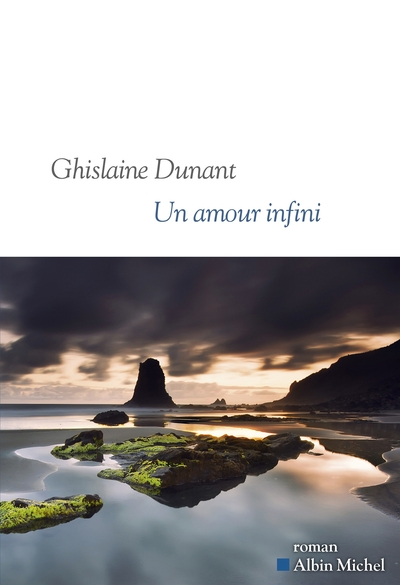 Un amour infini, Sélections Prix Goncourt et Médicis (9782226498687-front-cover)
