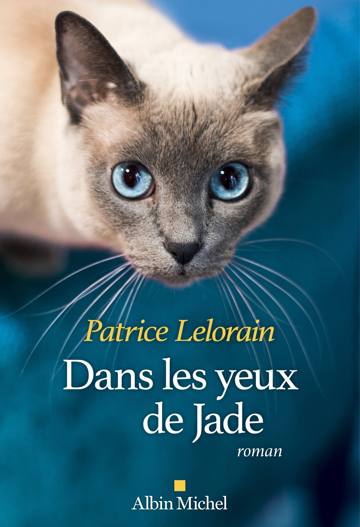 Dans les yeux de Jade (9782226443441-front-cover)