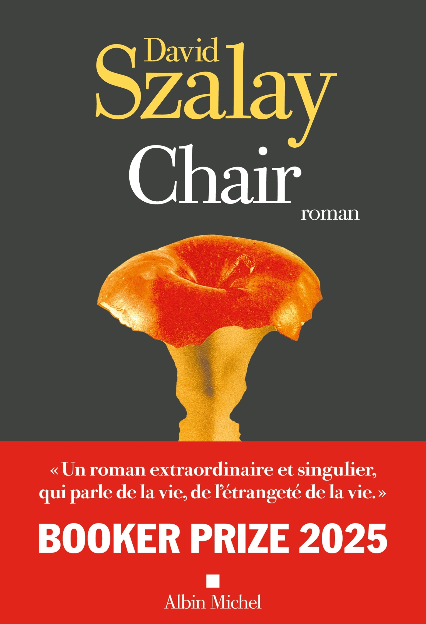 Chair, Booker Prize 2025 (9782226445995-front-cover)
