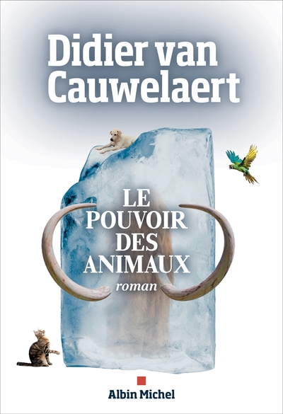 Le Pouvoir des animaux (9782226463975-front-cover)