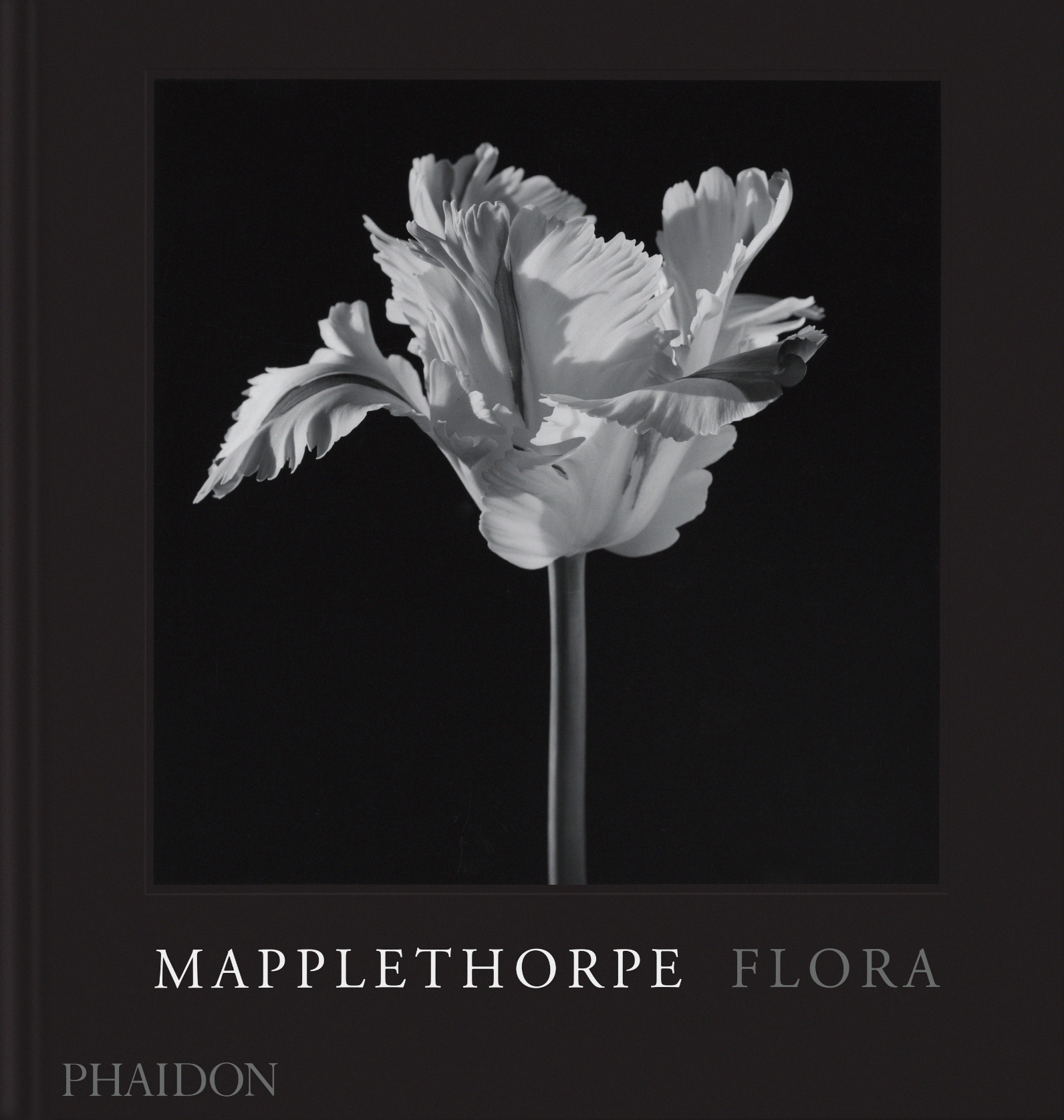 Flora, Les Fleurs de Mapplethorpe (9781838668440-front-cover)