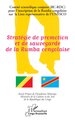 Stratégie de promotion et de sauvegarde de la Rumba congolaise (9782140311710-front-cover)