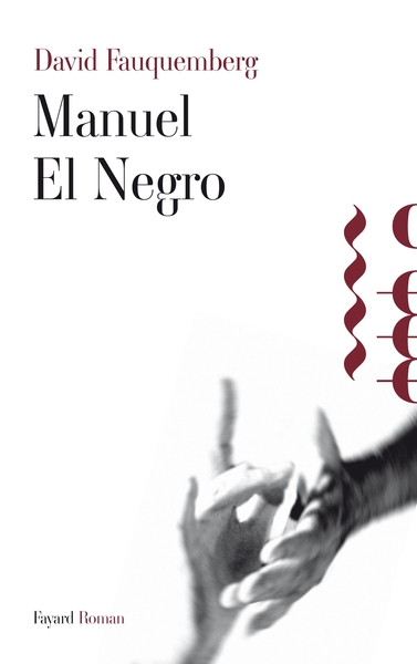 Manuel El Negro (9782213654904-front-cover)