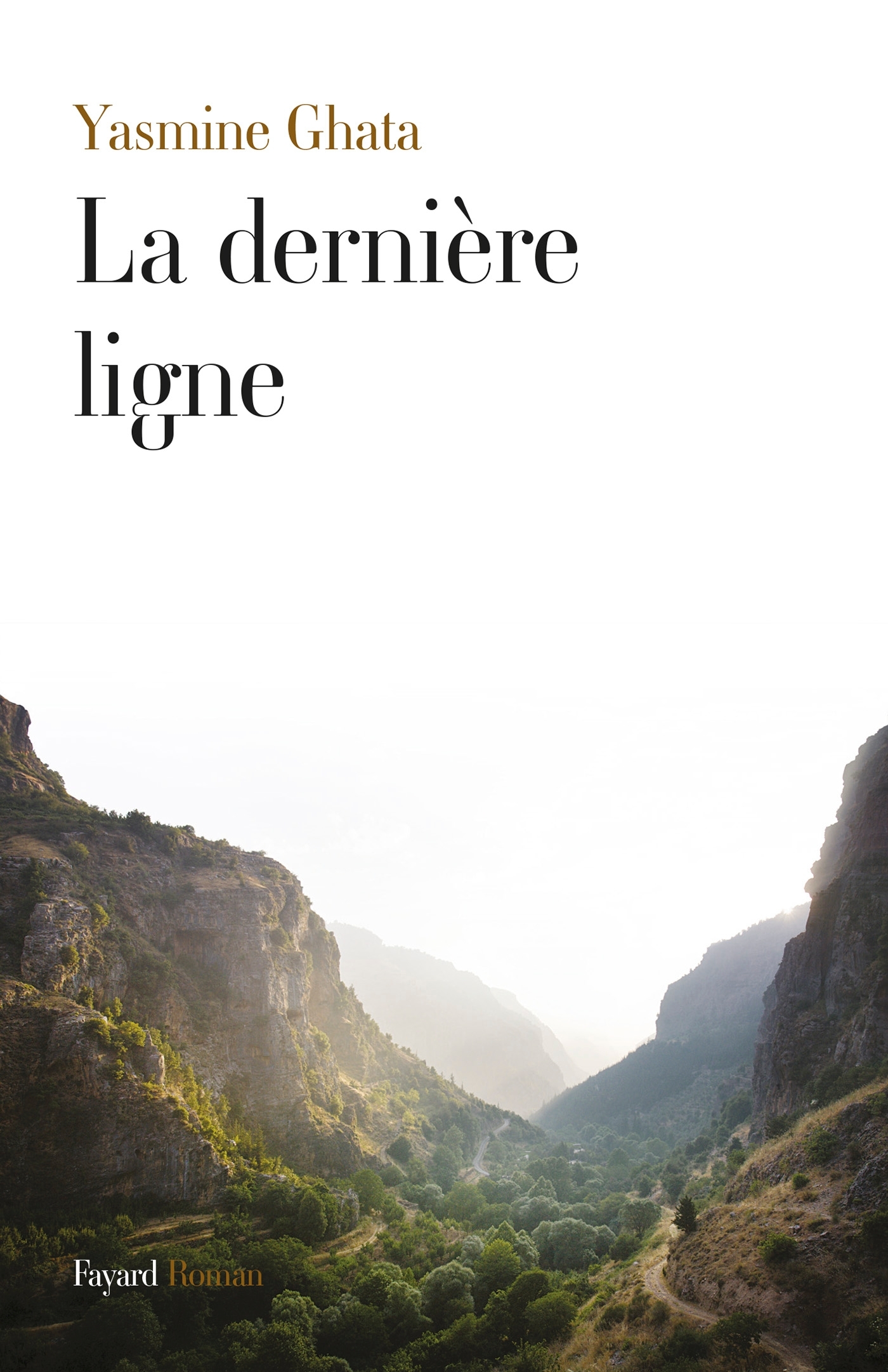 La dernière ligne (9782213672526-front-cover)