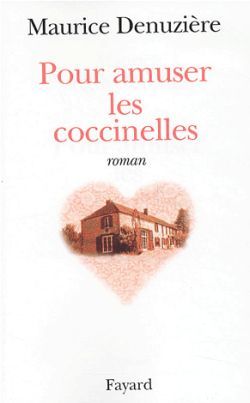 Pour amuser les coccinelles (9782213617480-front-cover)