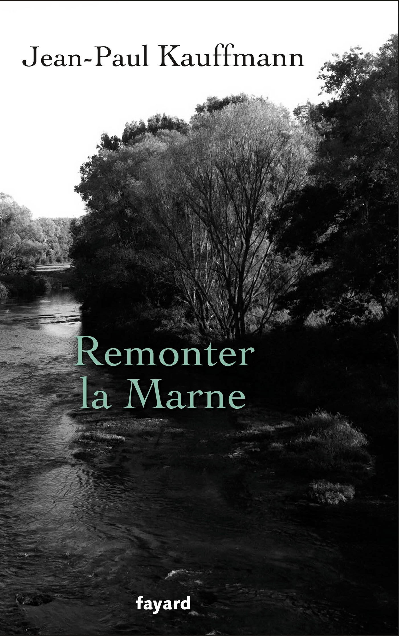 Remonter la Marne (9782213654713-front-cover)