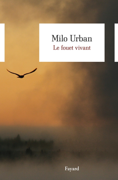 Le fouet vivant (9782213672311-front-cover)