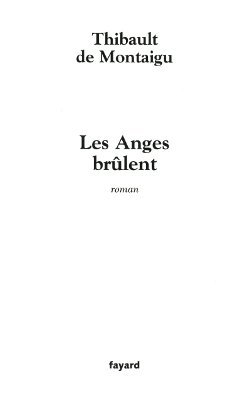 Les Anges brûlent (9782213616384-front-cover)