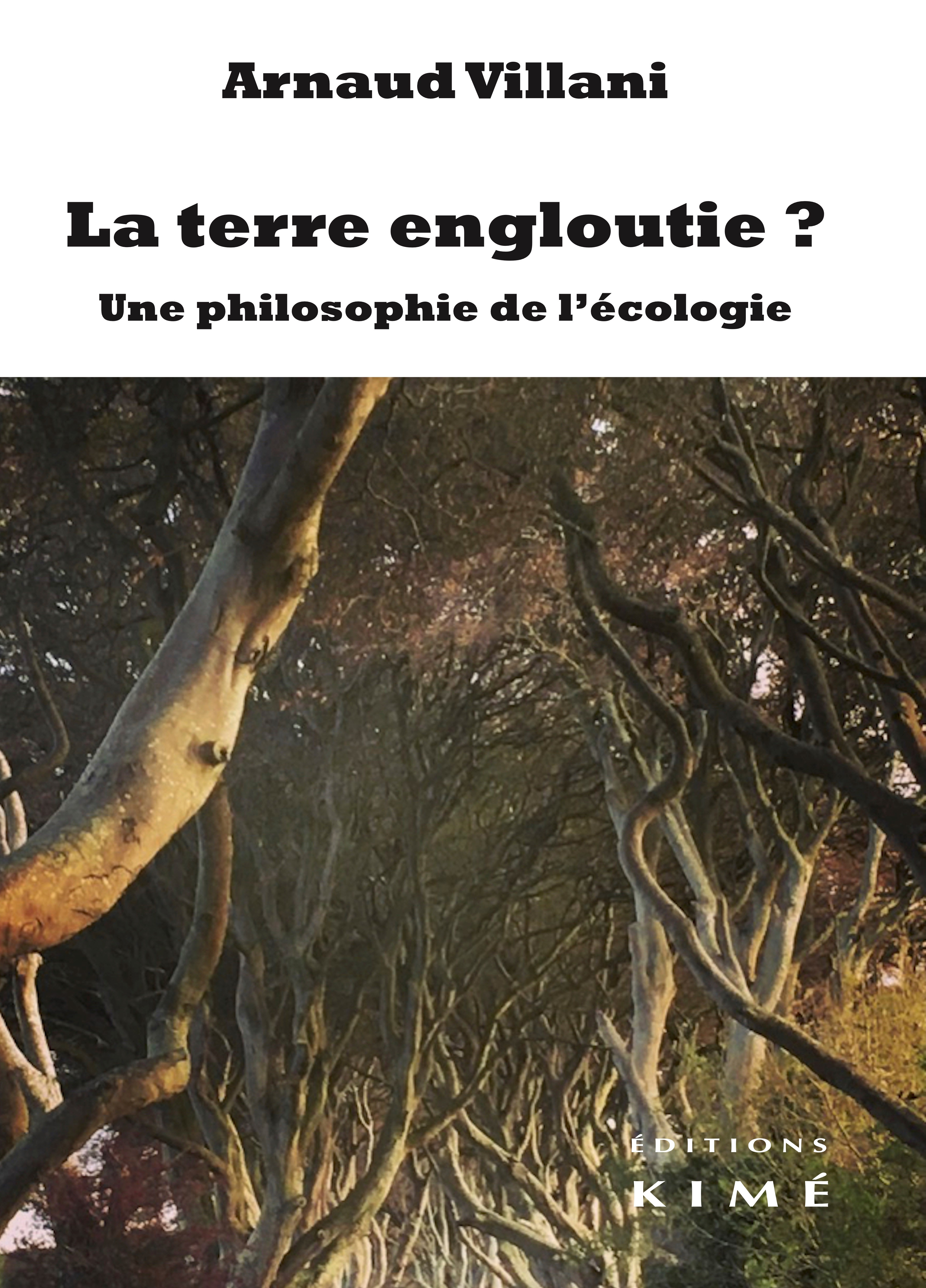 La terre engloutie ? Philosophie de l'écologie (9782841749591-front-cover)