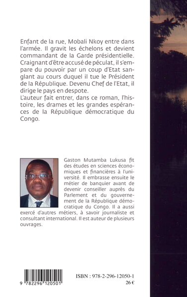 Le jour ne savait pas que l'obscurité tomberait, Roman congolais (R.D Congo) (9782296120501-back-cover)