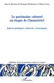Le patrimoine culturel au risque de l'immatériel, Enjeux juridiques, culturels, économiques (9782296137875-front-cover)