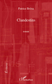 Clandestins (9782296119055-front-cover)