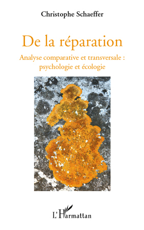 De la réparation, Analyse comprative et transversale : - Psychologie et écologie (9782296135796-front-cover)