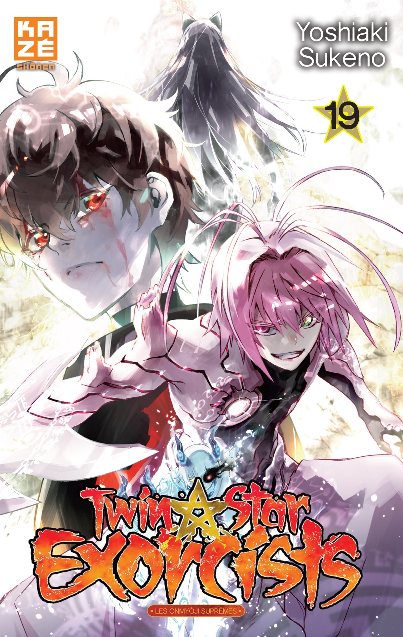 Twin Star Exorcists T19 (9782820338006-front-cover)