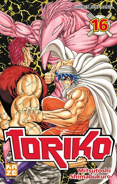 Toriko T16 (9782820315854-front-cover)