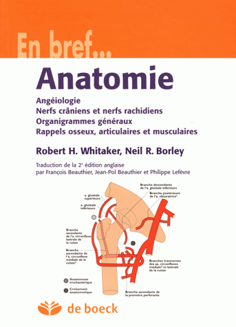 Anatomie, Angéiologie – Nerfs crâniens et nerfs rachidiens – Organigrammes généraux/rappels osseux, articulaires et musculaires (9782744501555-front-cover)