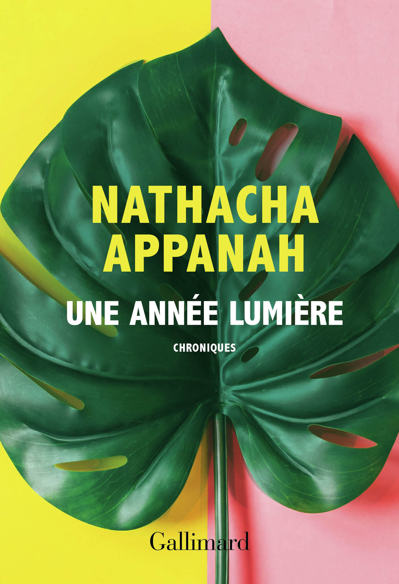 Une année lumière (9782072819896-front-cover)