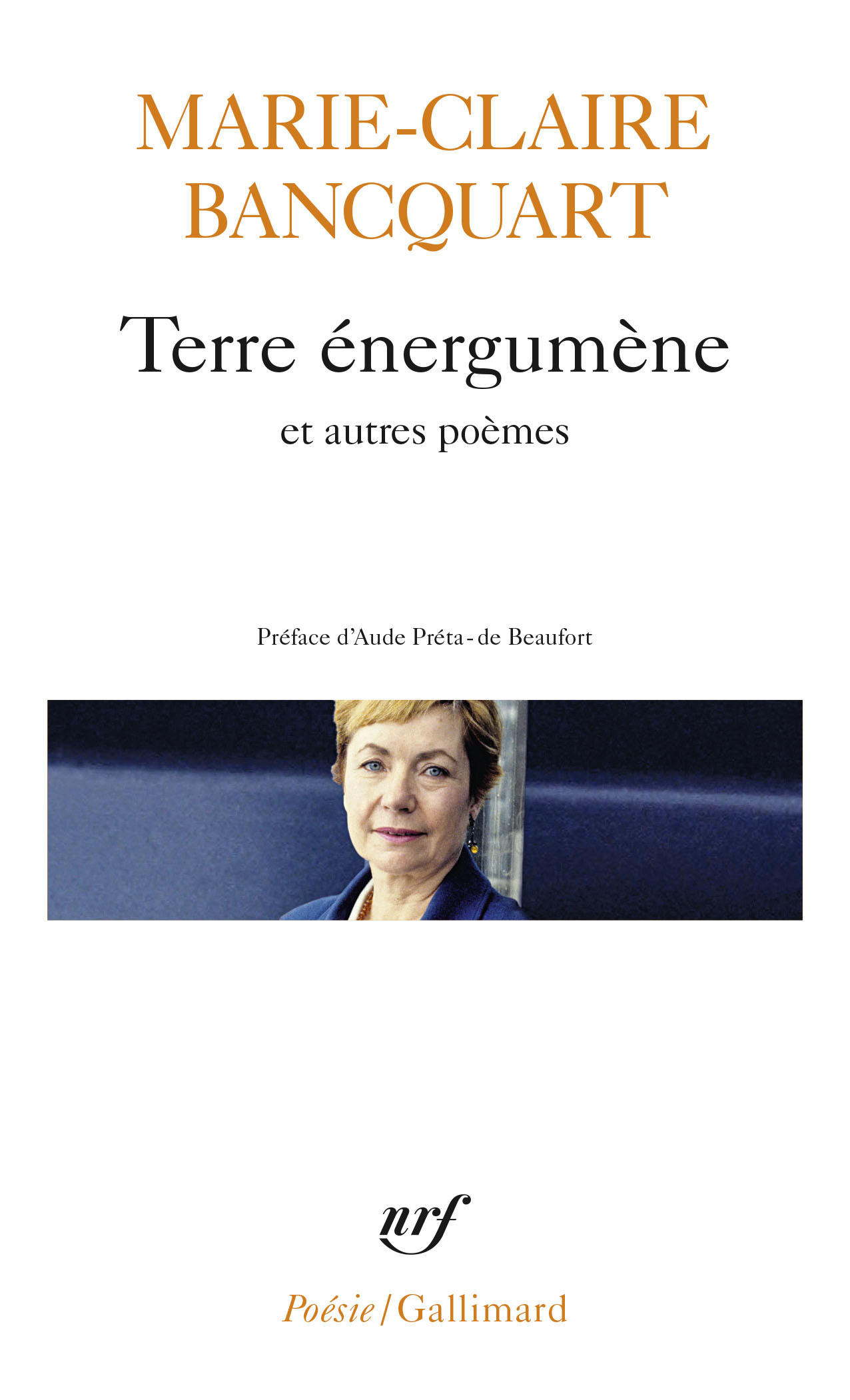 Terre énergumène/Dans le feuilletage de la terre/Verticale du secret (9782072834233-front-cover)