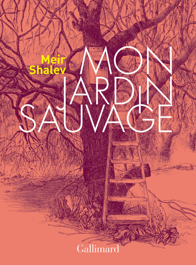 Mon jardin sauvage (9782072840289-front-cover)