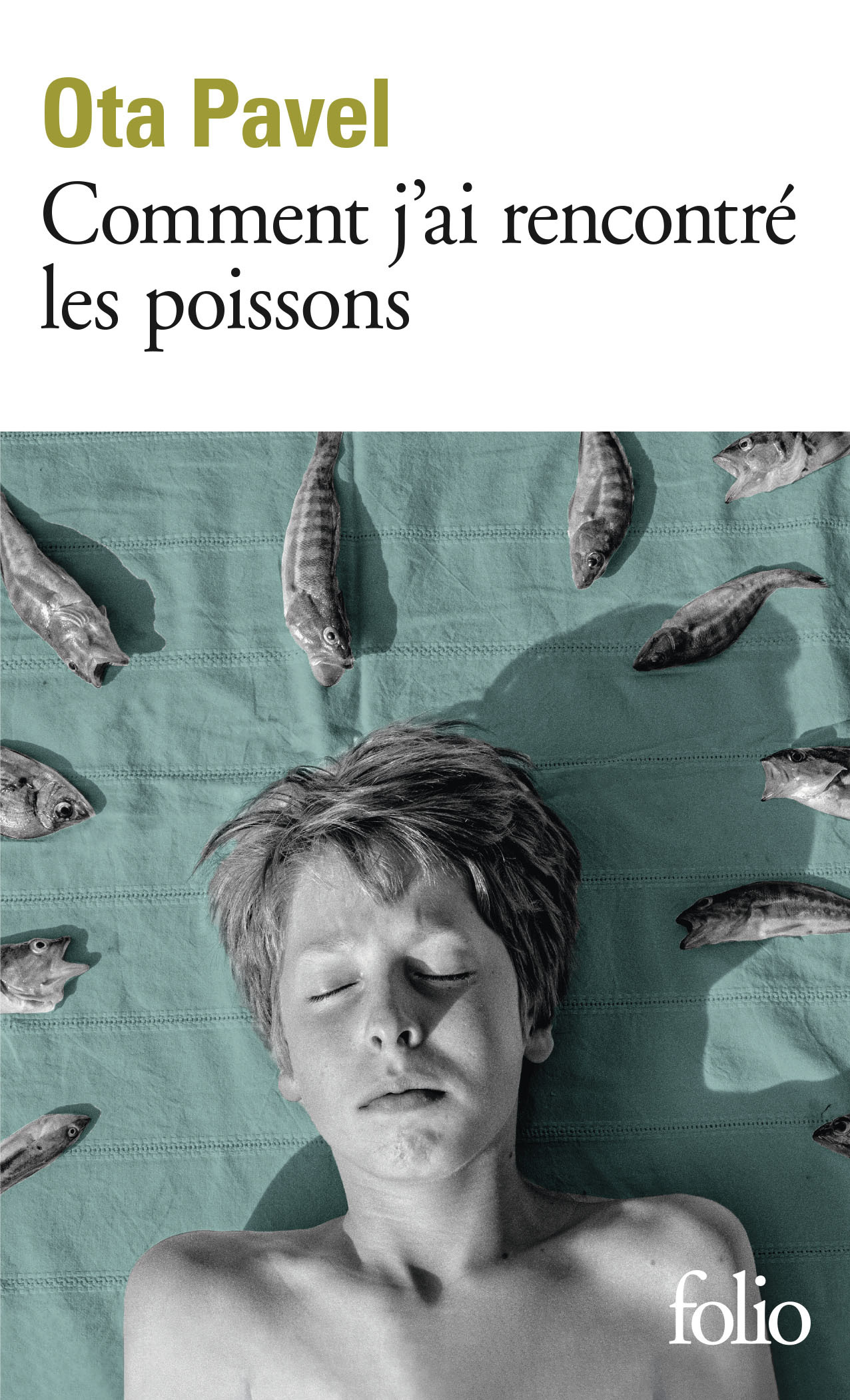 Comment j'ai rencontré les poissons (9782072864865-front-cover)