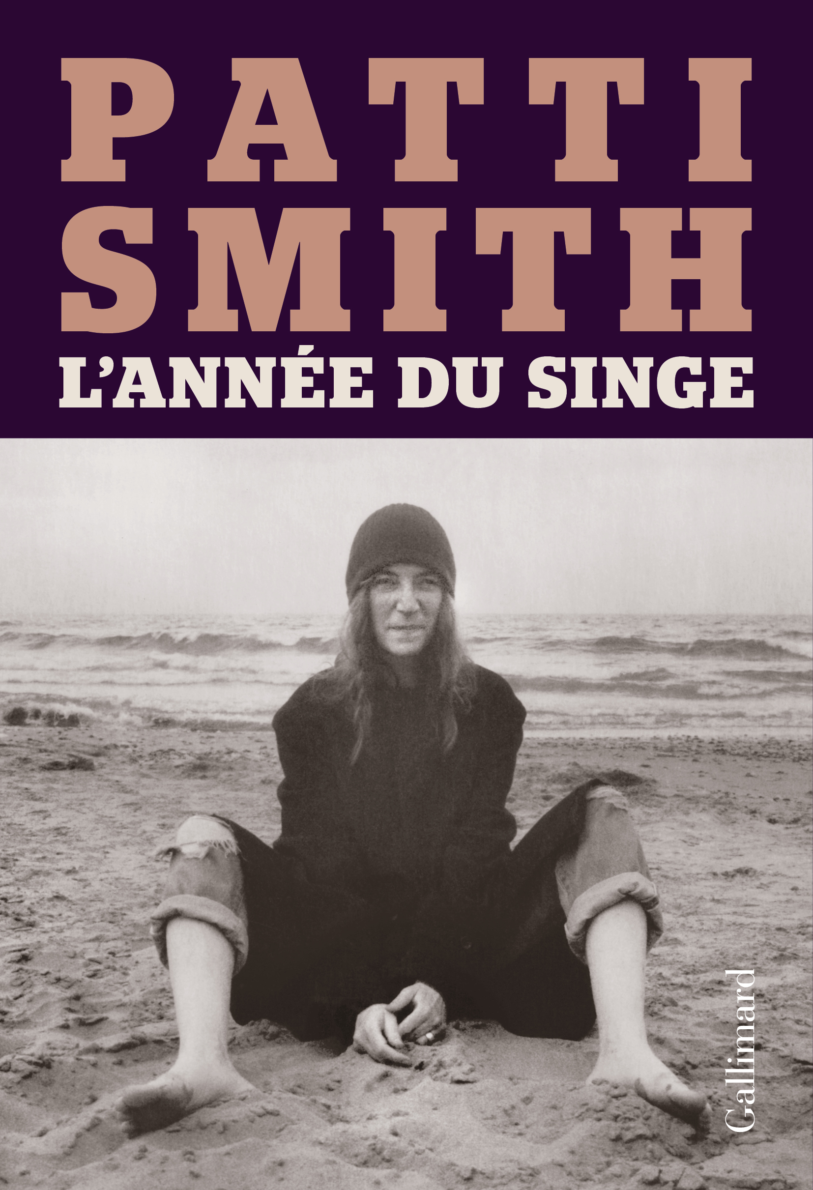 L'année du singe (9782072861031-front-cover)