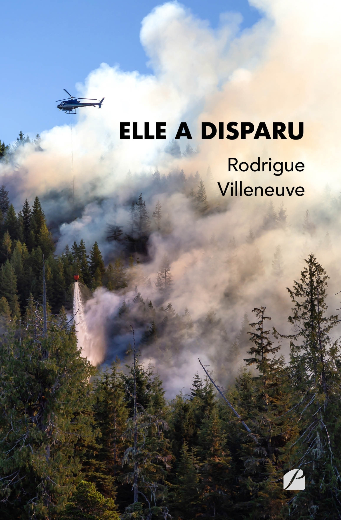 Elle a disparu (9782754764384-front-cover)