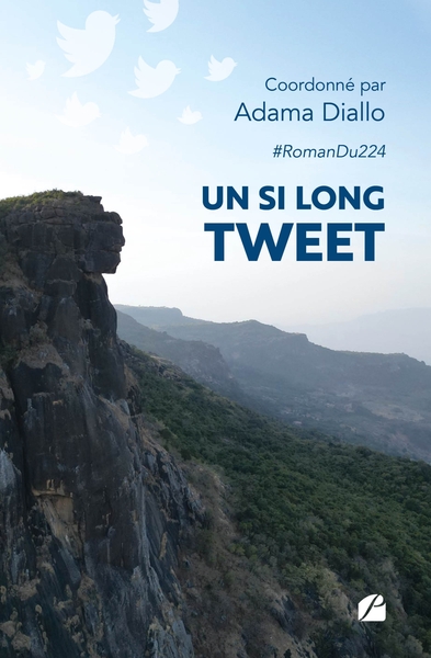 Un si long tweet (9782754763288-front-cover)