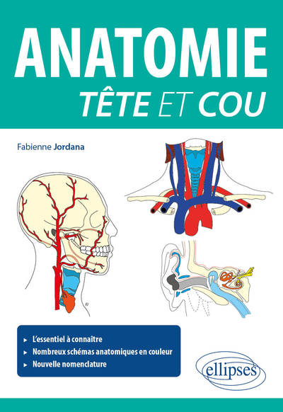 Anatomie tête et cou (9782340063686-front-cover)