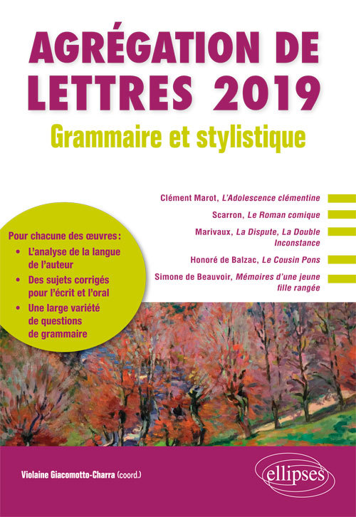 Grammaire et stylistique - Agrégation de lettres 2019 (9782340026766-front-cover)